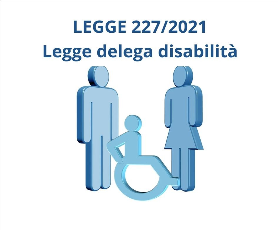 DELEGA AL GOVERNO IN MATERIA DI DISABILITA'